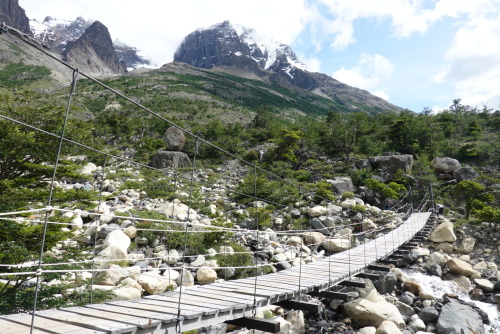 0E354729-E83B-42E4-B527-1602BEFE4881