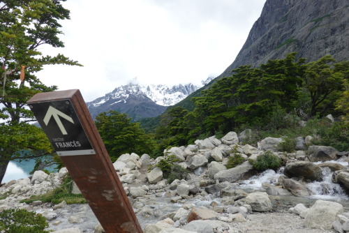 305FAE1B-2B28-4BD3-96B8-DECD41E6945C