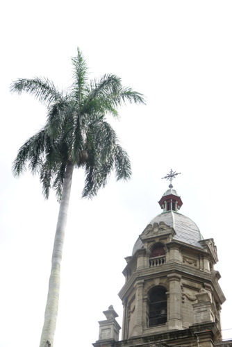 31365DDF-6EDC-43B8-9F8B-6A64A55F45E0