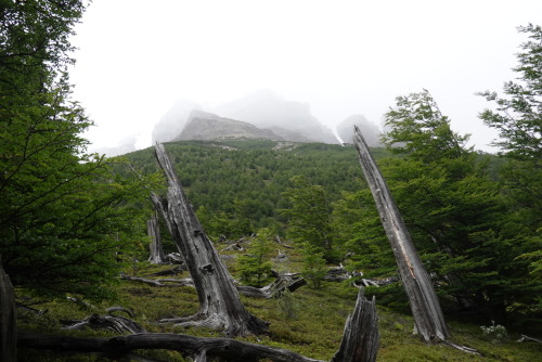 3C75C529-2F49-4B8B-863E-309C932F6198