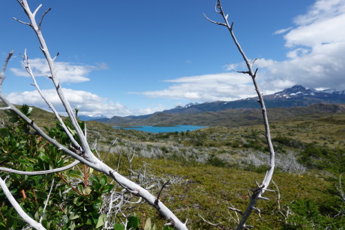 4AD90E3D-CB1E-4B5E-9D5A-C00FA2A11350