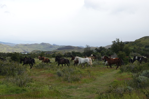 4B8215F8-B0A1-4D06-9FDB-4C416E19E294