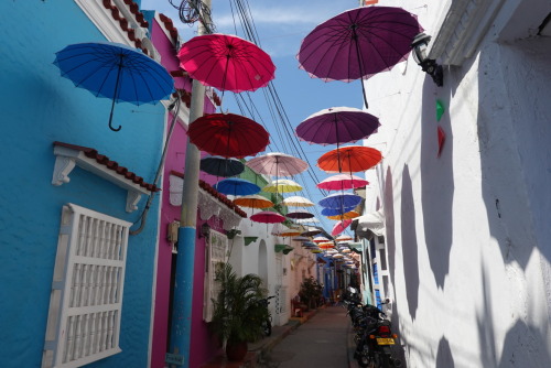 54ADF96A-4C13-4F0D-A6A7-793142E8F9CE