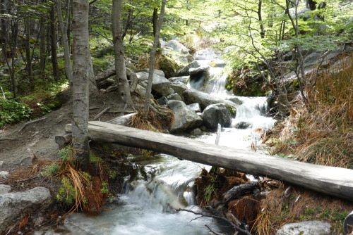 63B1436E-4953-4832-B380-C75CA305F6F9