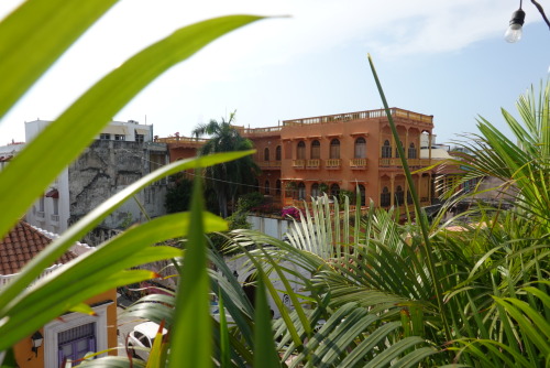 669AA0AF-6C80-4B62-B376-3D1D2963B979