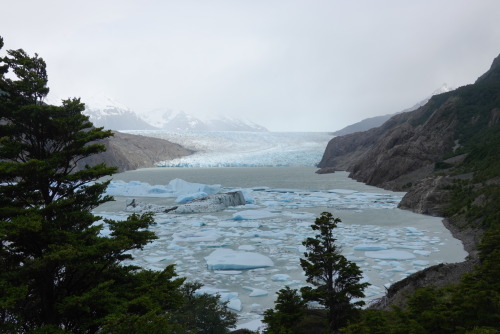 71DECDF3-ACC4-49D7-A6CA-737453CFEE52