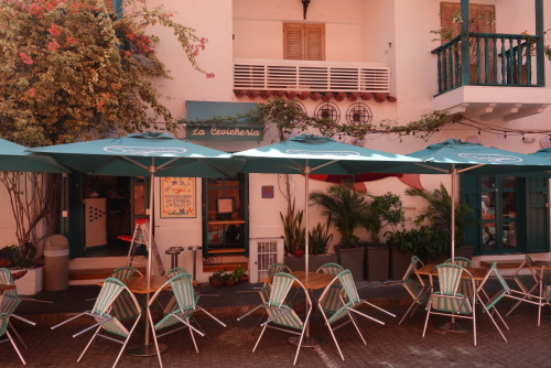 7846ABAD-485E-4A04-8CF4-525769F58166