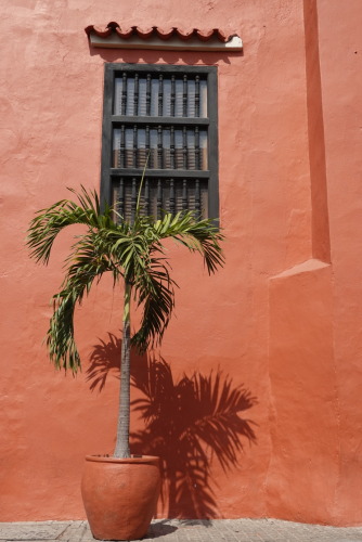 7E81DAF2-49CE-478F-BE0C-C94763467E5A