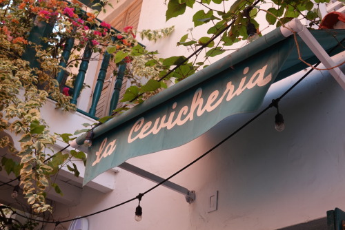 7EBC5FE4-E8B3-4CC7-B743-673DAF58D6BF