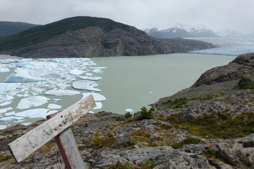 9262F3AC-781F-4E72-A8BB-9A57396DF813