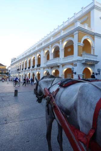 931ACD88-62EC-48A2-91DC-36E7C666E7C5