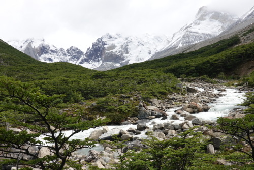 99F34AF1-8403-4C11-8FB6-CAB27BD034A9