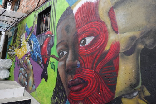 AF424119-4424-447B-9BEE-03567ACBEA3D