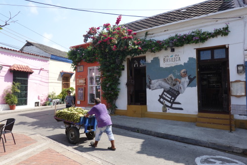 CE75158E-1B3E-4CF2-AF87-4634EF7B9837