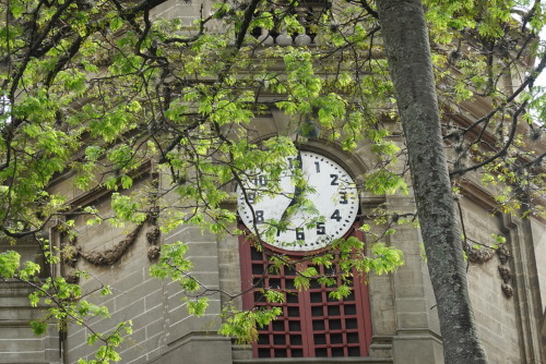 E9D7753C-9C4D-4231-B4FB-340D720A7A99