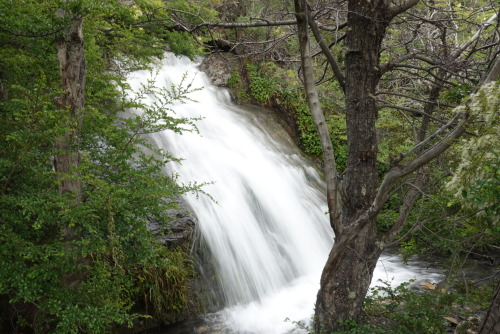 ED220AE1-96C6-406C-9F55-E22BA8E6C2F5