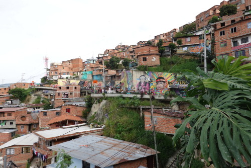 ED3FB126-4679-4E37-9506-5AB047B3AFF8