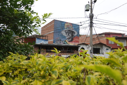 FB7B3DA8-7574-4A71-BAA0-801800ED65BF