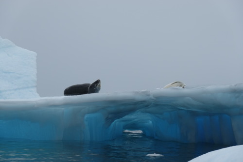 10622AAD-7FF8-4A2B-9B23-A202A730DB39