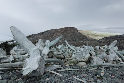 15DAB7D7-91A1-4F30-9245-B87DA279D92D