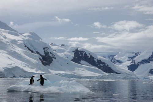 1B35EC4E-718A-4CED-8542-6E947912C7DC