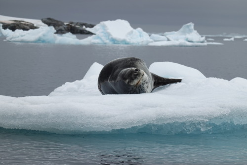 1C9C6E4E-F7E9-4FA5-8F0A-BA8CA0088C51