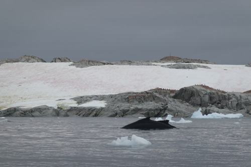 1FE51F7D-6E02-4A0B-ADE1-9D8B321204CE