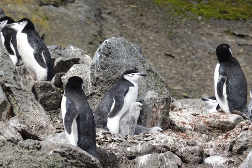 214E89A2-8262-4992-803D-705769B54C3B