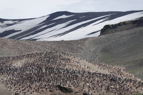 22873FD8-795A-4CB4-B8AE-44E9305E852A