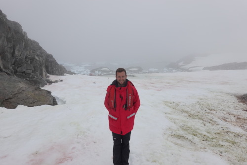 228AB6DB-4D03-4C40-AFD0-A8A85BC54E3E