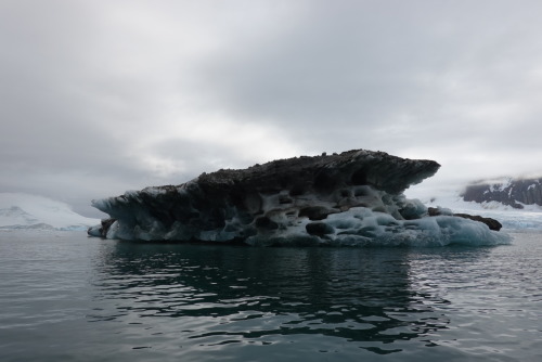 25535472-81B6-4B23-B46E-4C834E027DEC