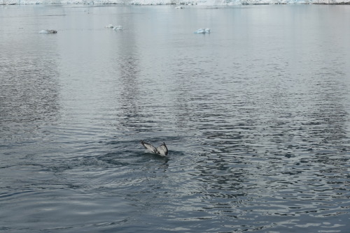 323B69AC-4528-4877-BEB1-1A2E389DDDBC