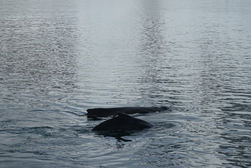 376C229C-C596-4B2C-BC71-61E427EEAC2E