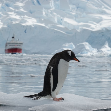 Antarctica 4C30C1B2-0E55-4939-9CBD-5728D8CD530A