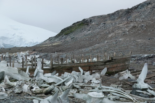 582AA8A9-E35C-457A-90B4-52A159FD38CA