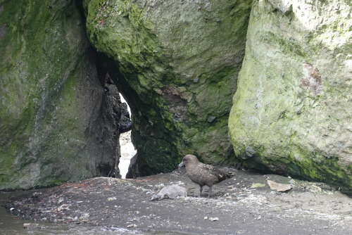 6B2CEECB-661E-45A5-862B-36F24B0BC2B7