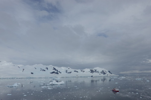 74B717FC-82B2-4558-AE92-AC036BC35A34