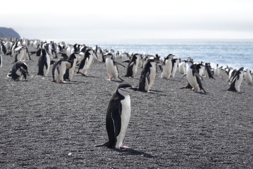 7A85DBA0-7F3F-45F7-A71D-15293EE357A0