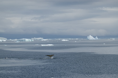 831BD831-E515-4516-8C5F-9E25D17101E8