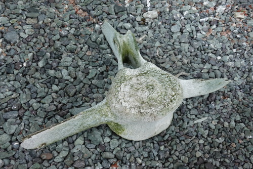 86A184E8-C447-4762-BE15-461892218A1A