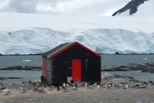 9279E0A0-2A21-4E64-80C7-F5B2881FDC97