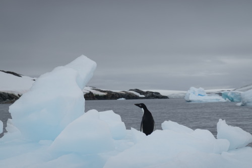 B18BE05D-B40C-4268-85DC-5FBCE25D95F5