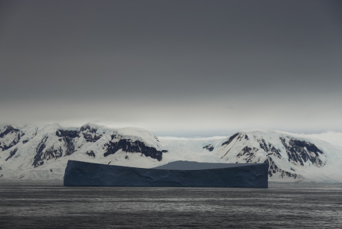 B8D7A45D-F5F2-4AF5-8BB4-A97B5C8D3AE4