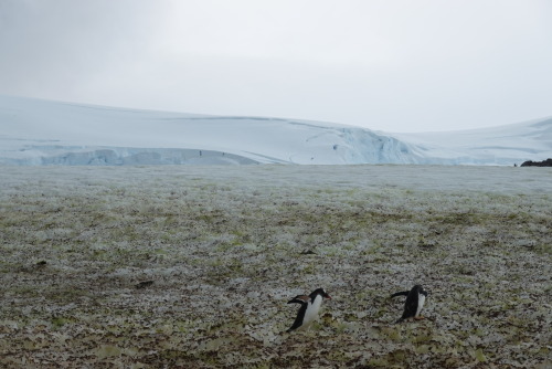 BA7EAB22-4320-45A6-8CE2-8CACCC2B54C5