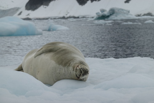 DE2E3E9A-6132-4C10-8C0C-A00770ACF9CF