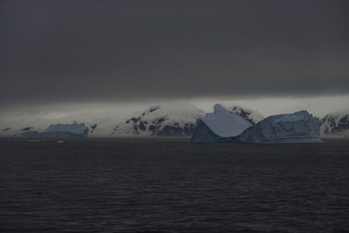 E70B99F7-2EDA-4E49-8CEE-529CF6276538