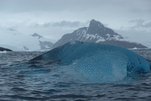 EEC93A0A-7418-4C63-B80B-F60344B33201