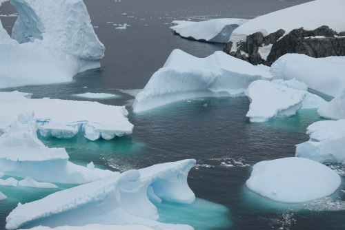 F201DE77-9B6F-44B5-B168-51373418A50D