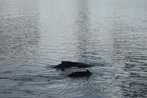 FB6DD0F9-3158-4D88-9116-EBB418302F8A