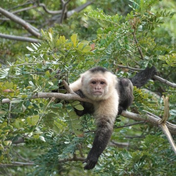 Grenada, Nicaragua dsc01502-1.jpg
